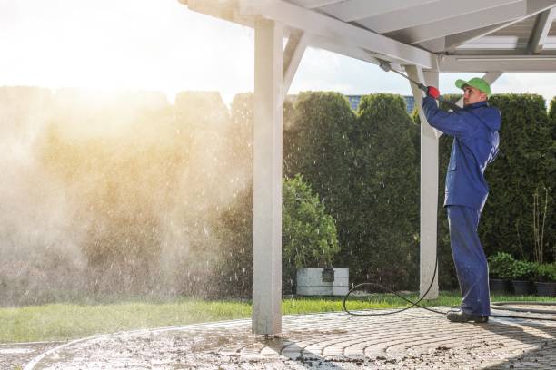 Best Soft Washing  in Kelseyville, CA
